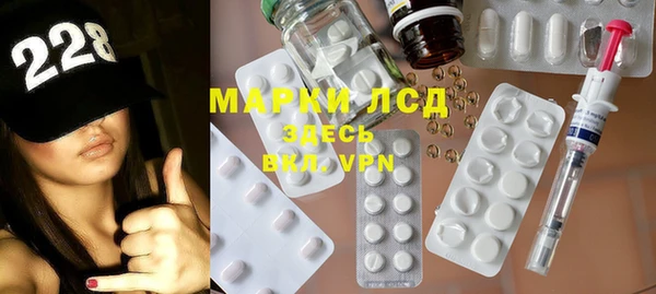 сатива Дмитровск