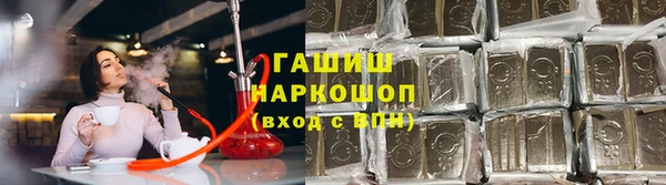 сатива Дмитровск