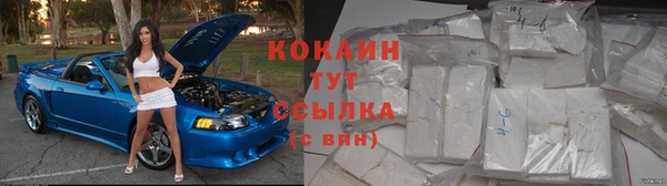 сатива Дмитровск