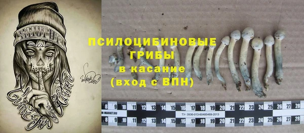 сатива Дмитровск