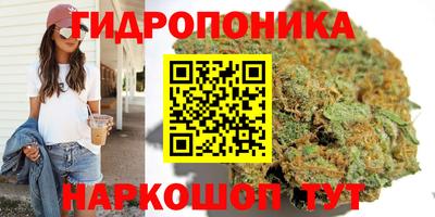 тгк Заволжье