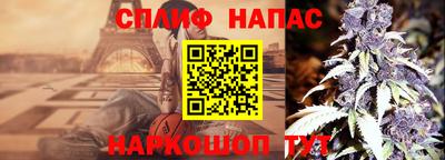 mdpv Заводоуковск