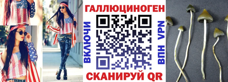 ОМГ ОМГ ТОР Славгород Псилоцибиновые грибы Cubensis цена