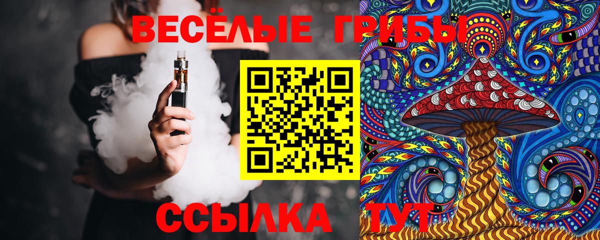 Псилоцибиновые грибы Cubensis  Славгород 