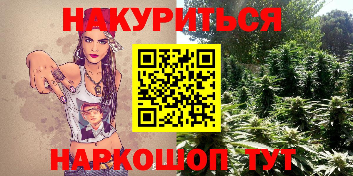 Канабис OG Kush Славгород
